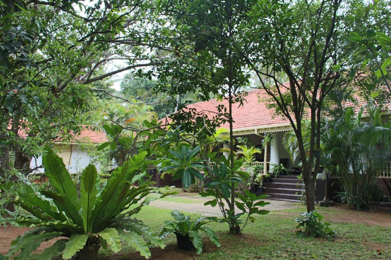 No.53 Apartamento Katunayaka Exterior foto